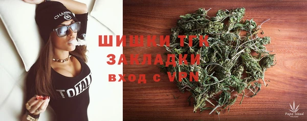 тгк Каменка