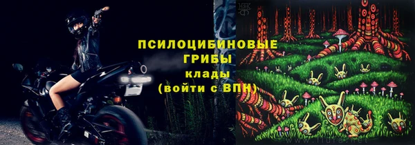 тгк Каменка