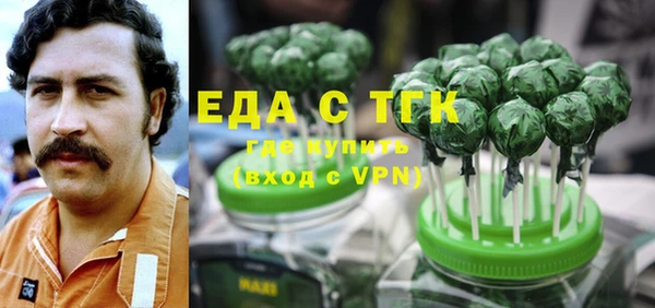 тгк Каменка