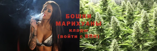 тгк Каменка