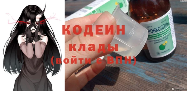тгк Каменка