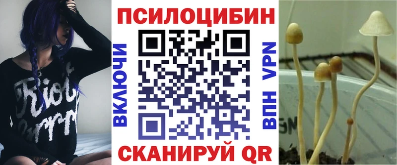 Галлюциногенные грибы MAGIC MUSHROOMS  Купить закладки  Дрезна 