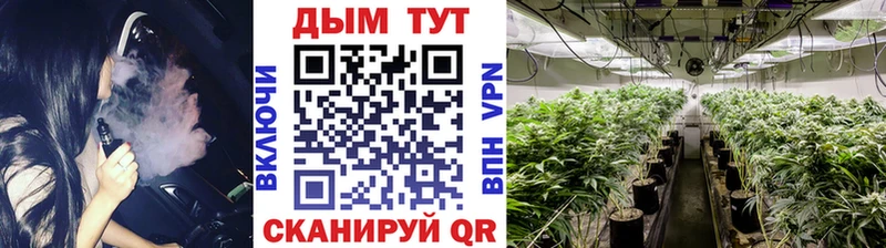 Шишки марихуана Bruce Banner  Купить закладки  Дрезна 